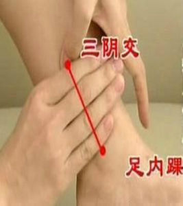 三陰交穴