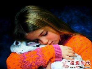 東芝 TLP-WX2200東芝TLP-WX2200投影機