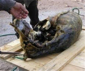 基維雅克 基維雅克