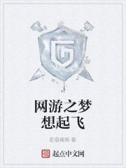 網遊之夢想起飛 網遊之夢想起飛