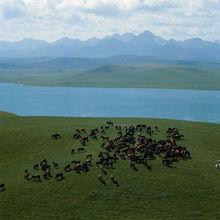 內蒙古高原