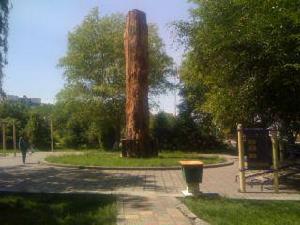 新疆昌吉奇台矽化木