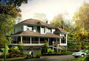 紫金七號 紫金七號