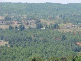 新房村[雲南省曲靖宣威市西澤鄉新房村]