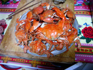 渤海深島_漁家樂