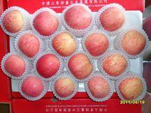 青島師帥物流有限公司