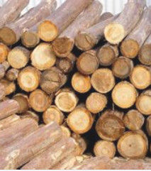 原木