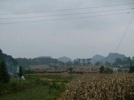 者龍午鋪村 者龍午鋪村