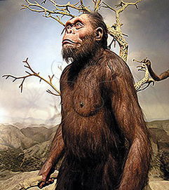 阿法種南猿 阿法種南猿