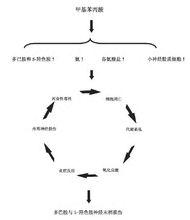 甲基苯丙胺毒性機制