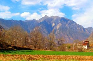 美谷上村 美谷上村