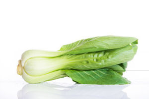 小白菜[十字花科植物]