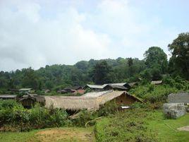 大牛景頗寨村 大牛景頗寨村