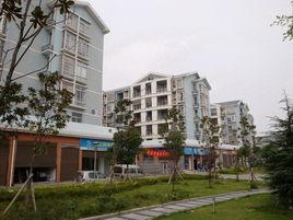 梧田街道 梧田街道