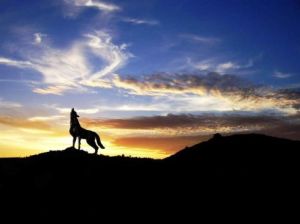 嘯浪與殘狼 嘯浪與殘狼