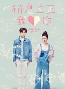 稍息立正我愛你