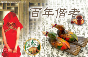 百年諧老 百年諧老