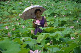 陳慧[宜賓職業技術學院五糧液技術學院副教授]