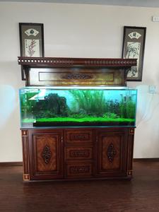 迪茨[浙江台州家居品牌]