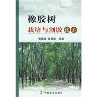橡膠樹栽培與割膠技術 橡膠樹栽培與割膠技術