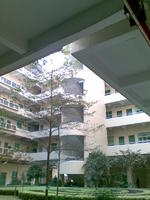 蒼南縣馬站高級中學 蒼南縣馬站高級中學