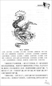 《科學養雞大全》 《科學養雞大全》