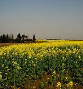 七里鄉[江西進賢縣七里鄉]