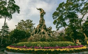 越秀新暉 越秀新暉