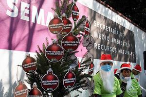 墨西哥綠色生態黨