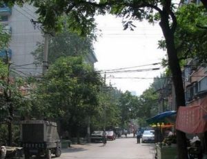 祿米倉胡同 祿米倉胡同