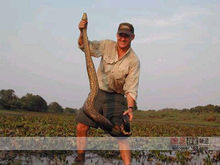 布萊迪&middot;巴爾