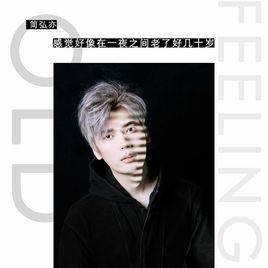 感覺好像在一夜之間老了好幾十歲 感覺好像在一夜之間老了好幾十歲