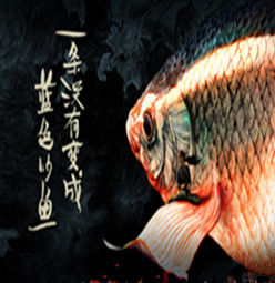 一條沒有變成藍色的魚 一條沒有變成藍色的魚