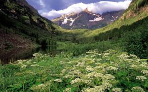 nature[英文單詞]