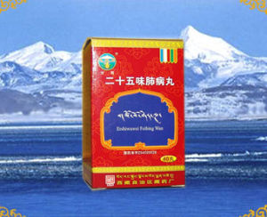 甘露二十五味肺病丸 甘露二十五味肺病丸