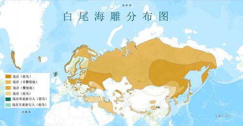 白尾海雕分布圖