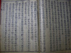 開關利膈丸 開關利膈丸