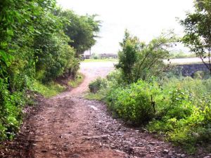 馮家箐村 馮家箐村