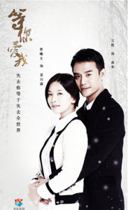 等你愛我[2014年張峰執導電視劇]