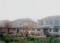 港東社區 港東社區