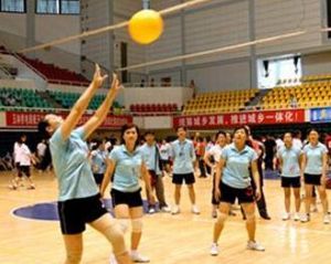 氣排球 氣排球