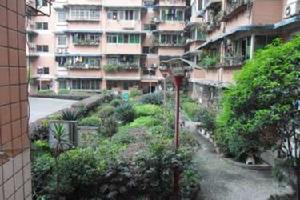 金港興城 金港興城