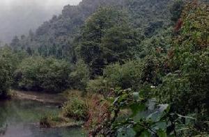 岩泉自然保護區 岩泉自然保護區