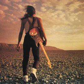 荒[齊秦演唱歌曲]