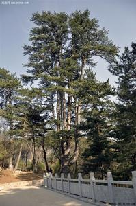 沁源縣旅遊局 沁源縣旅遊局