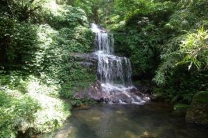 石盆水村 石盆水村