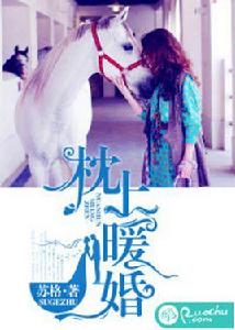 枕上暖婚 枕上暖婚