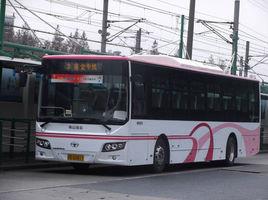 蓮金專線 蓮金專線