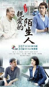 親愛的陌生人[2013年趙正平執導電視劇]