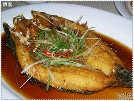 油浸筍殼魚 油浸筍殼魚